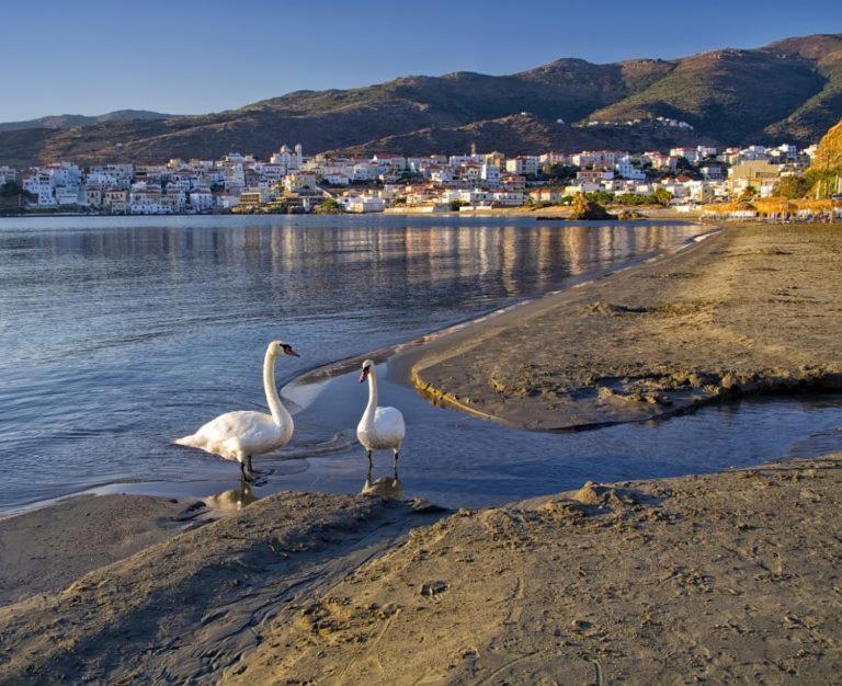Πλατανακι 2 Seaview Apartment Andros Town Exterior photo